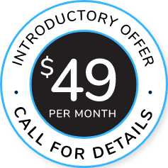 Introductory offer $49 per month banner stamp